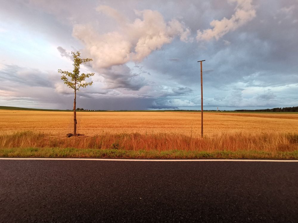 Getreidefeld und Landstraße unter weitem Himmel